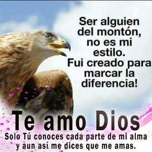 Meet your Posher, Hector